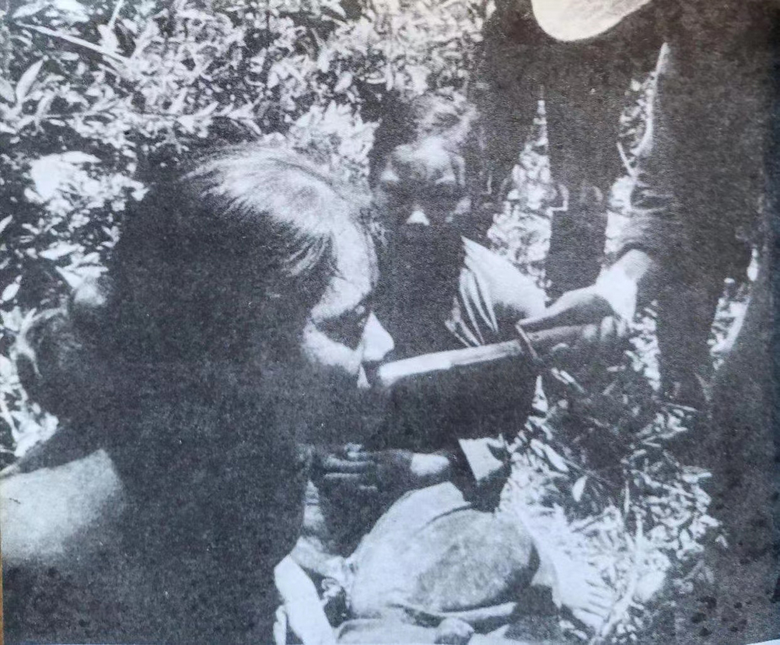 1965年,一位越共女游击队员惨遭俘虏,抓捕她的南越伪军军,直接用匕首