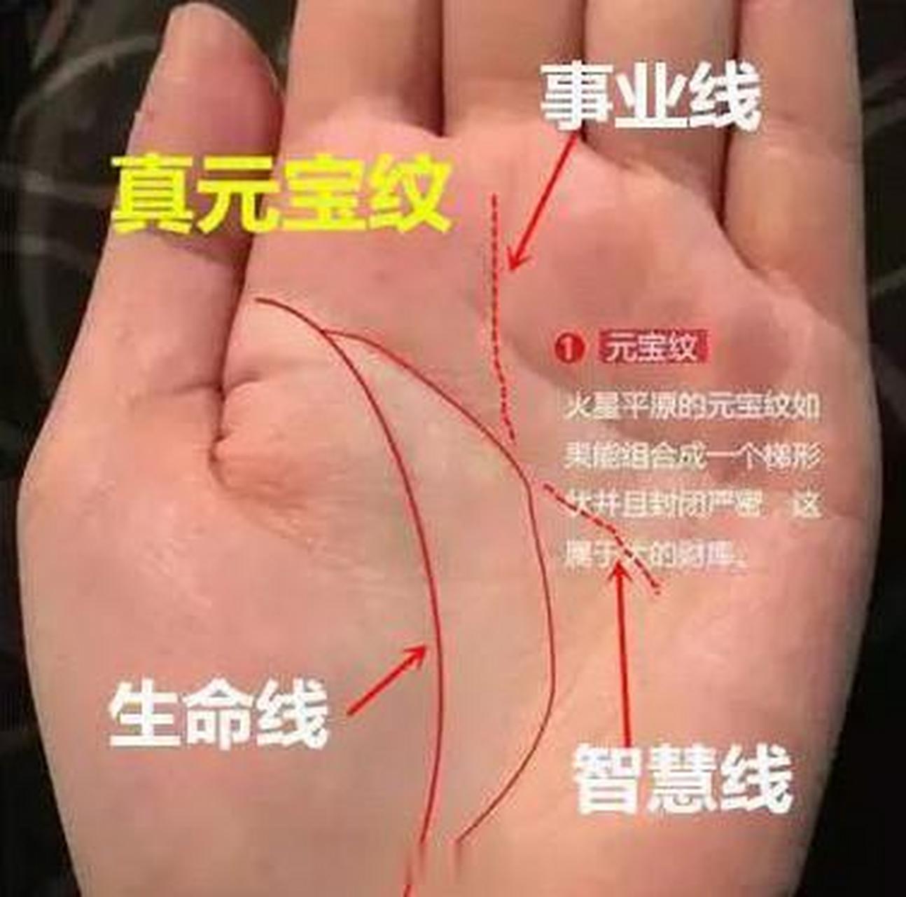 会形成"元宝纹"或者"船形纹"这种吉祥的图纹,这是由手掌中的智慧线