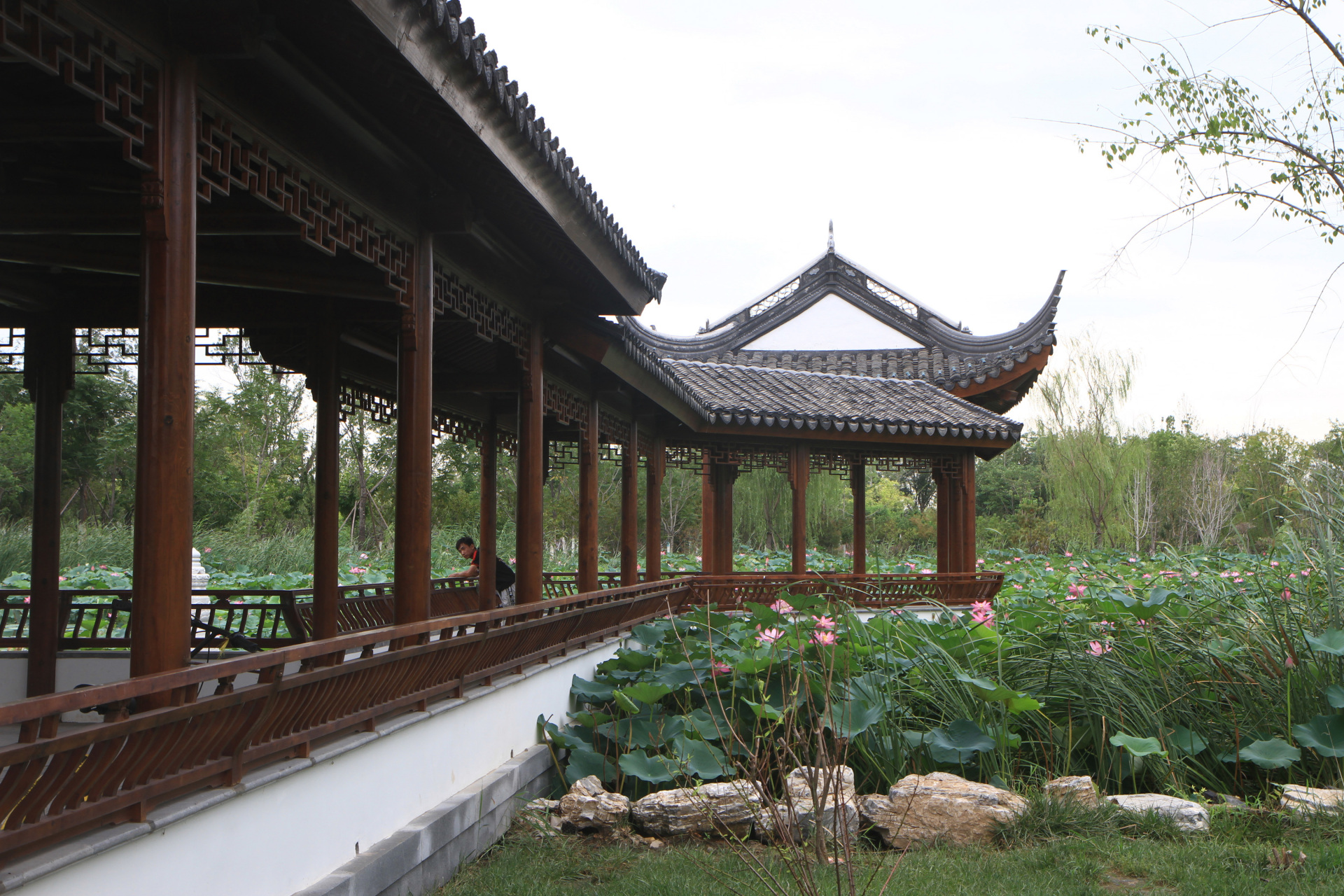 水西公园藕香榭