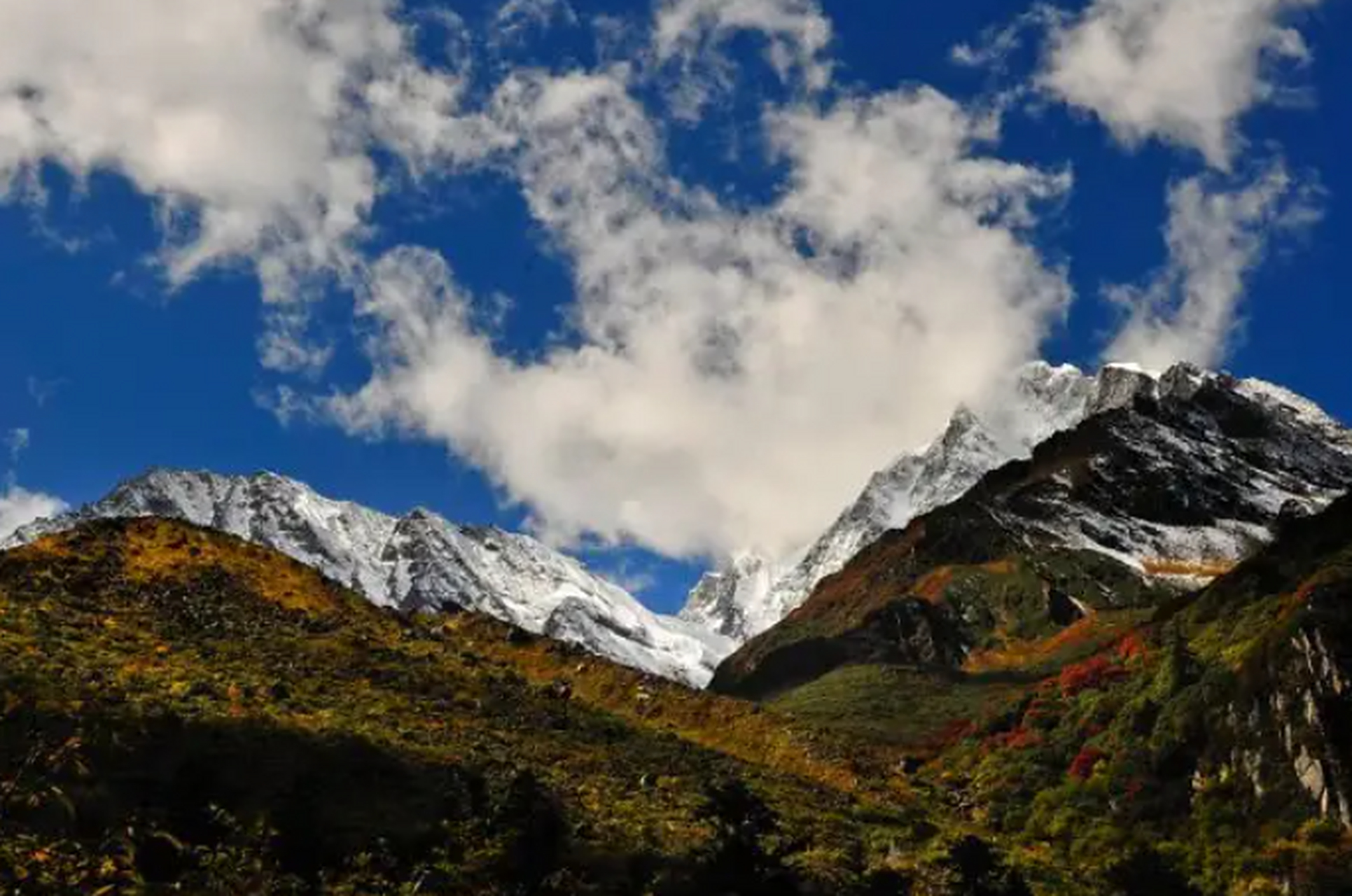 海螺沟一号营地,这里的原始森林是海螺沟五绝之一,其面积达70多平方