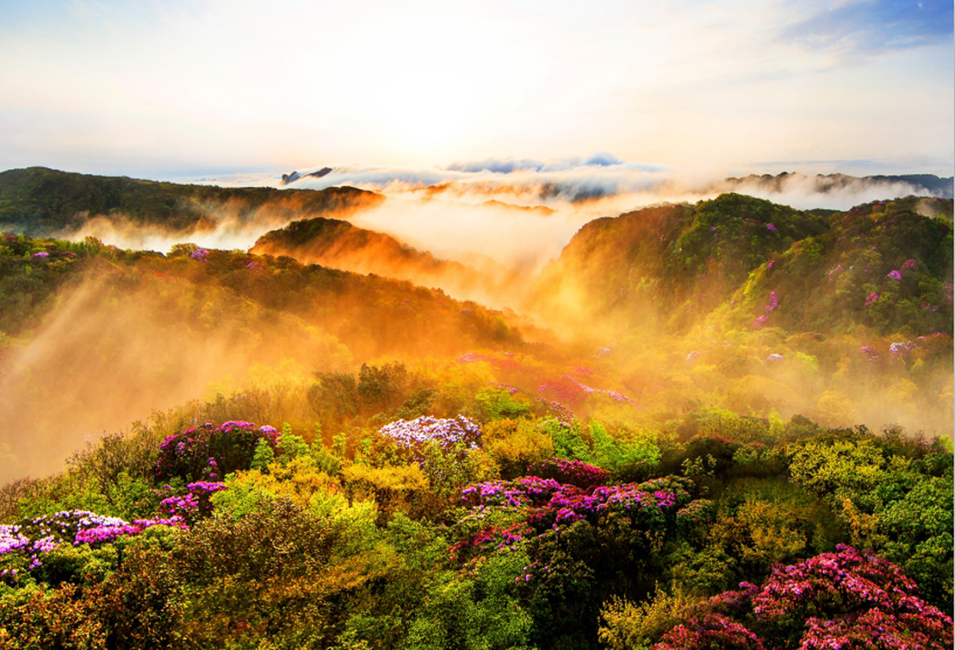 嬉行记# 洞天佛国,养生福地,四川金佛山, 内有奇峰怪石,有高达千玫哪