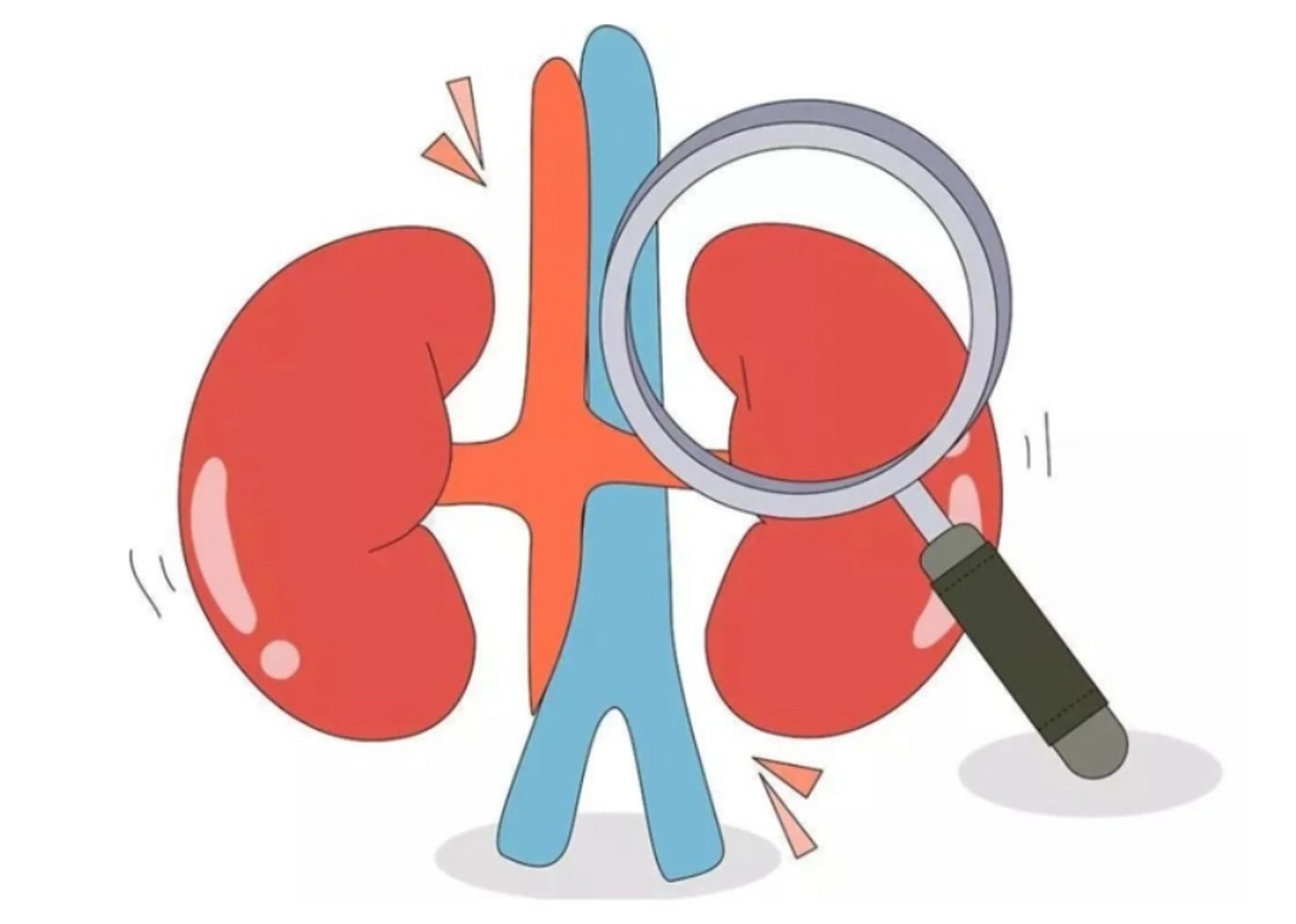 分不清肾阴虚肾阳虚?不知道如何判断哪种肾虚?