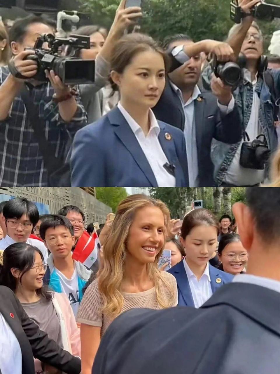 沙漠玫瑰贴身女保镖,娶她有何条件?