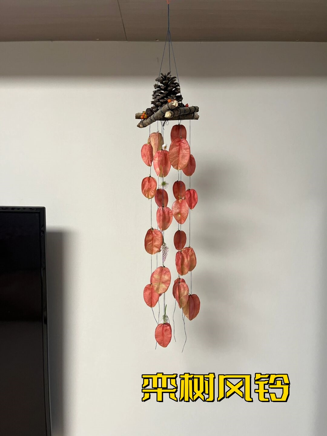 栾树的花语是奇妙震撼绚烂一生