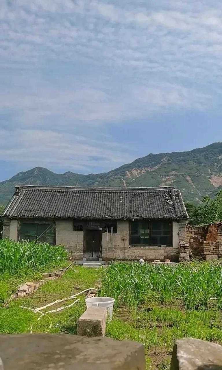 这里是天津蓟县黄花山脚下的王爷园寝,咱们眼前看到的就是百年的老