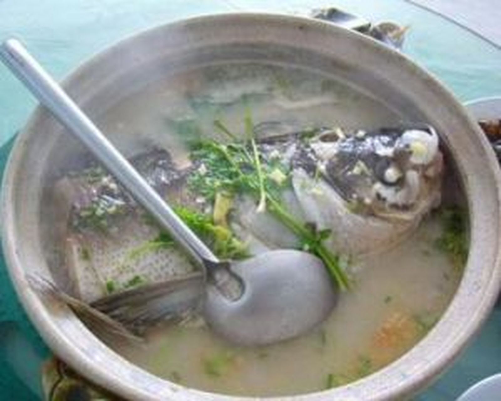 4月放肆吃#河唇鱼头汤:这个菜是用鳙鱼头来制作的,因为鳙鱼的头比较