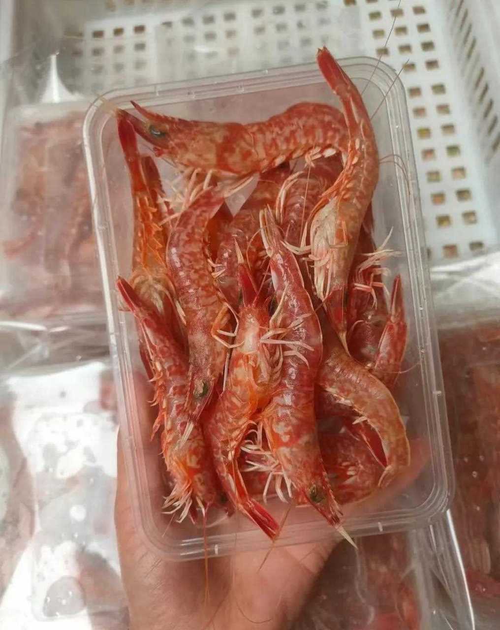 给大家介绍一款[观望] 颜值美味鲜甜并存的海虾→【樱花虾】属于的鲜