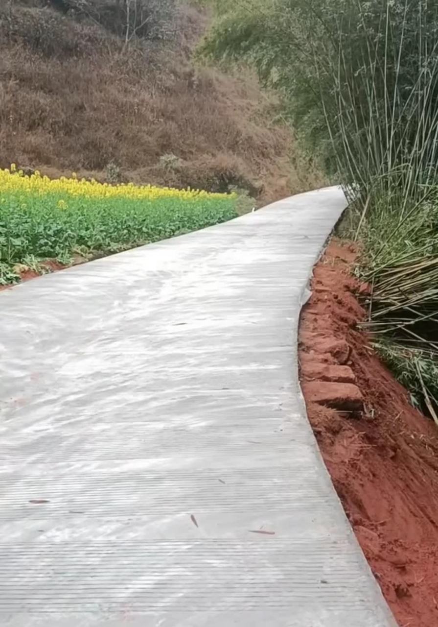 村里新修的水泥路,水泥这么厚,还有防滑设计,真是一个良心工程.[三哈]