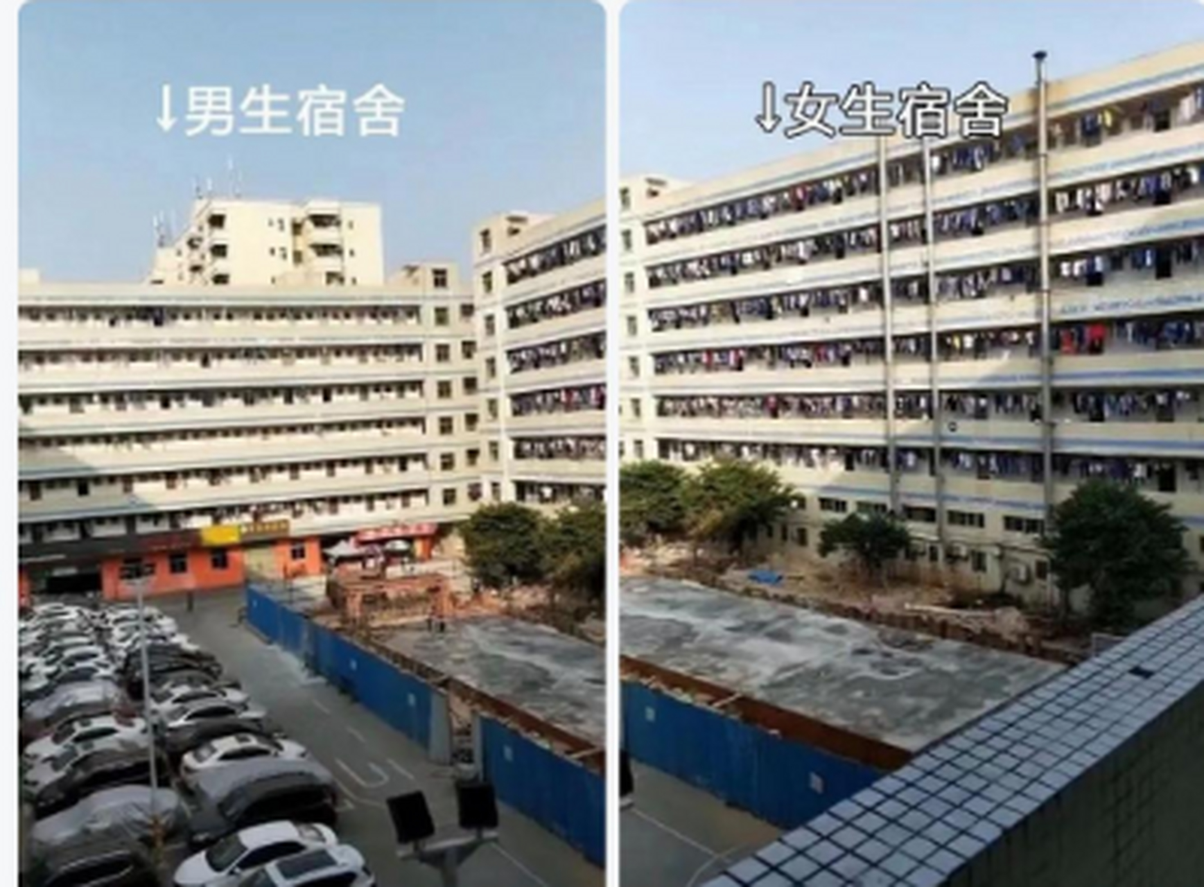 女生宿舍和男生宿舍的区别,男的都不洗衣服的吗?