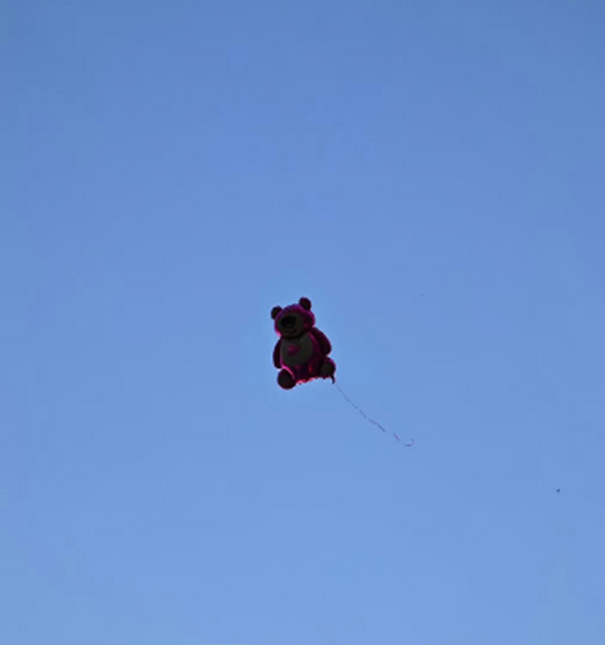 刚买的气球就这飞走了