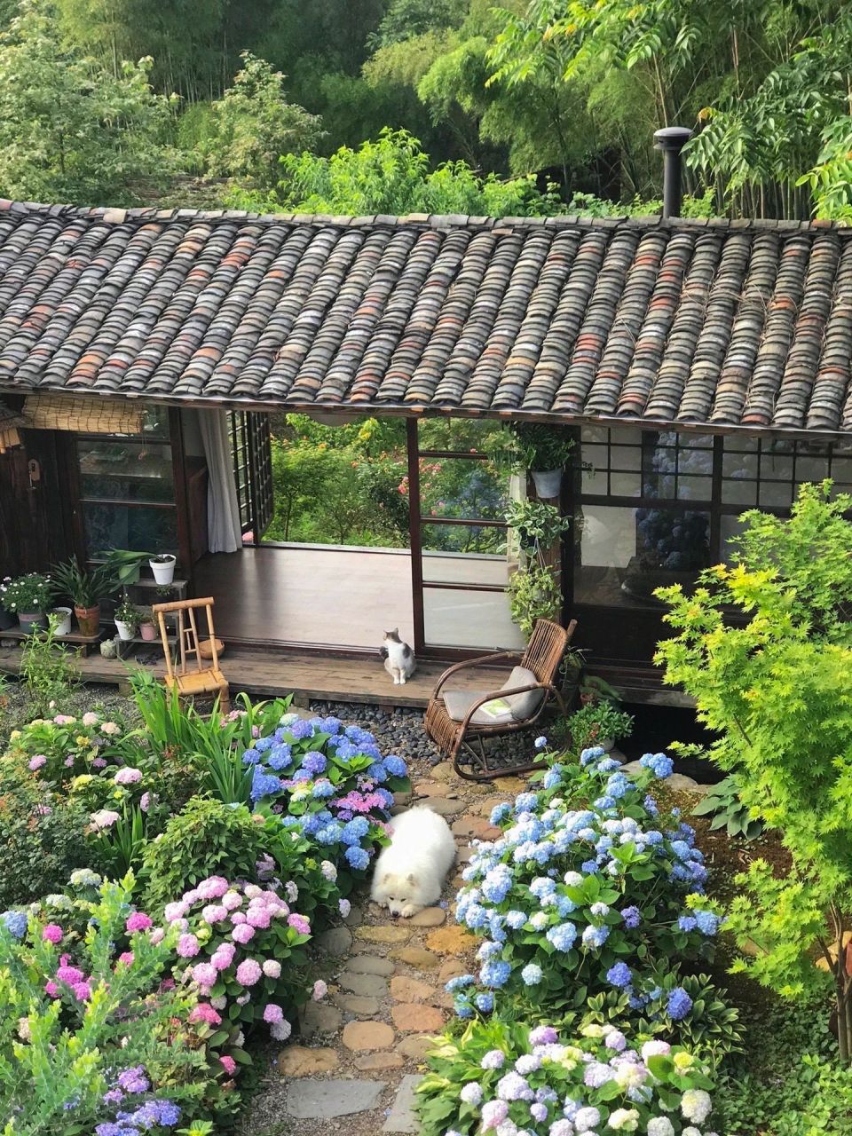 湖南一屋主的农村院子火了,像是住进了漫画里一样,绿林环绕,鲜花簇拥,