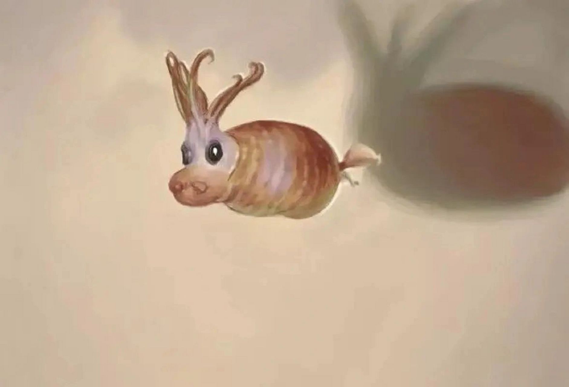 像小猪的章鱼 学名:带状仔猪鱿鱼 深海章鱼 眼睛下方有发光器官,能