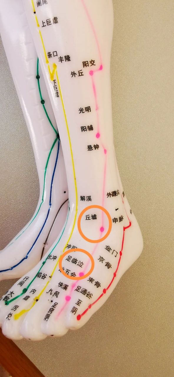 首先来看看股骨头所在的位置,股骨头在大腿根部髋关节的位置,在六经
