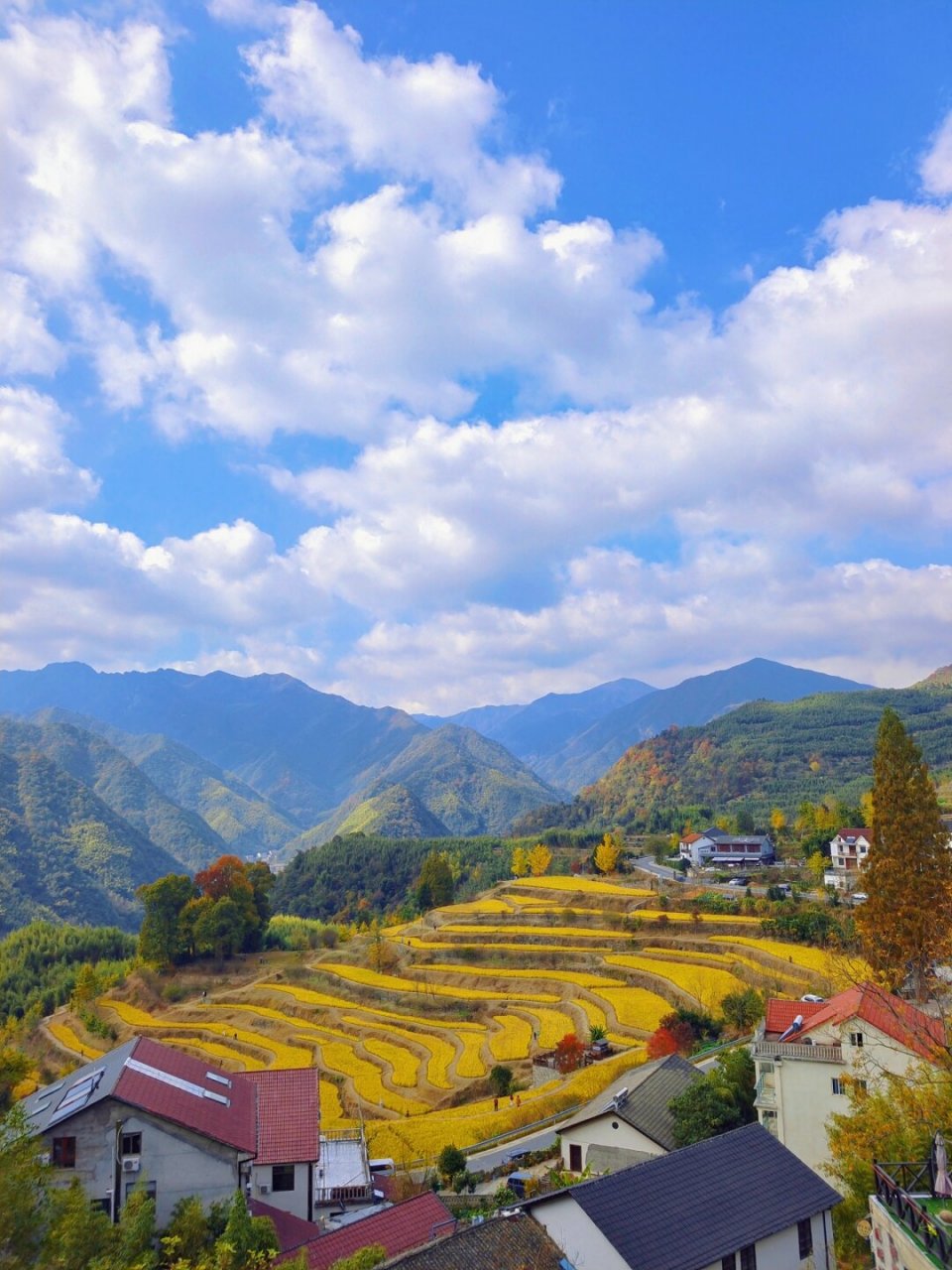 我来到了红叶指南村,这里被誉为最美千年古村之一.