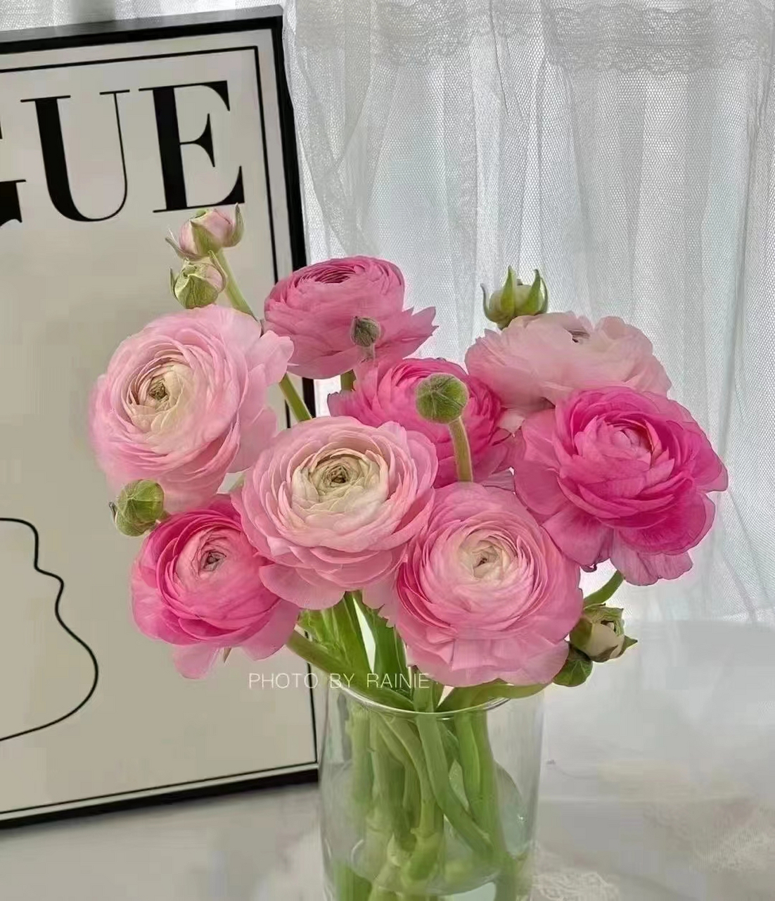 心花怒放表达的是这个意思吧.