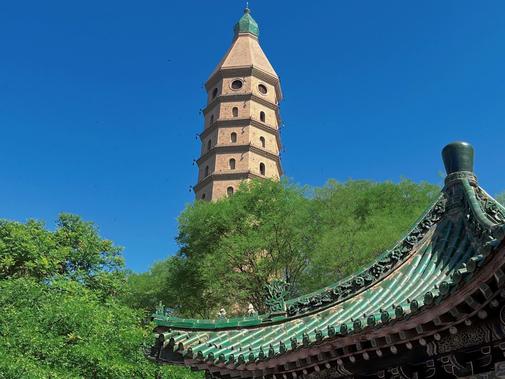 特种兵之银川一日游9590 01承天寺塔,爬了十一层,下来腿软了