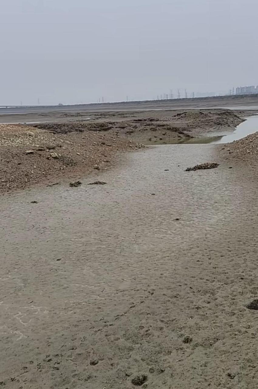 网友:这段河的河水干枯了,仔细一看,发现一条大鱼,今晚有鱼肉吃了