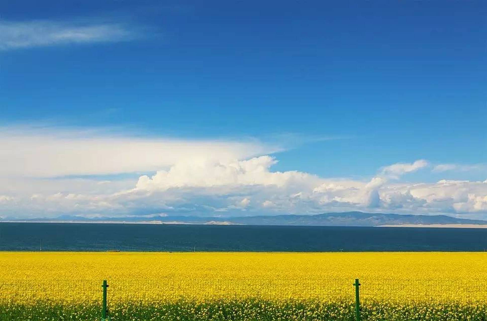湖水蓝,油菜花黄,水天一色,如一颗蓝色的宝石镶嵌在高原大地,似一幅巨