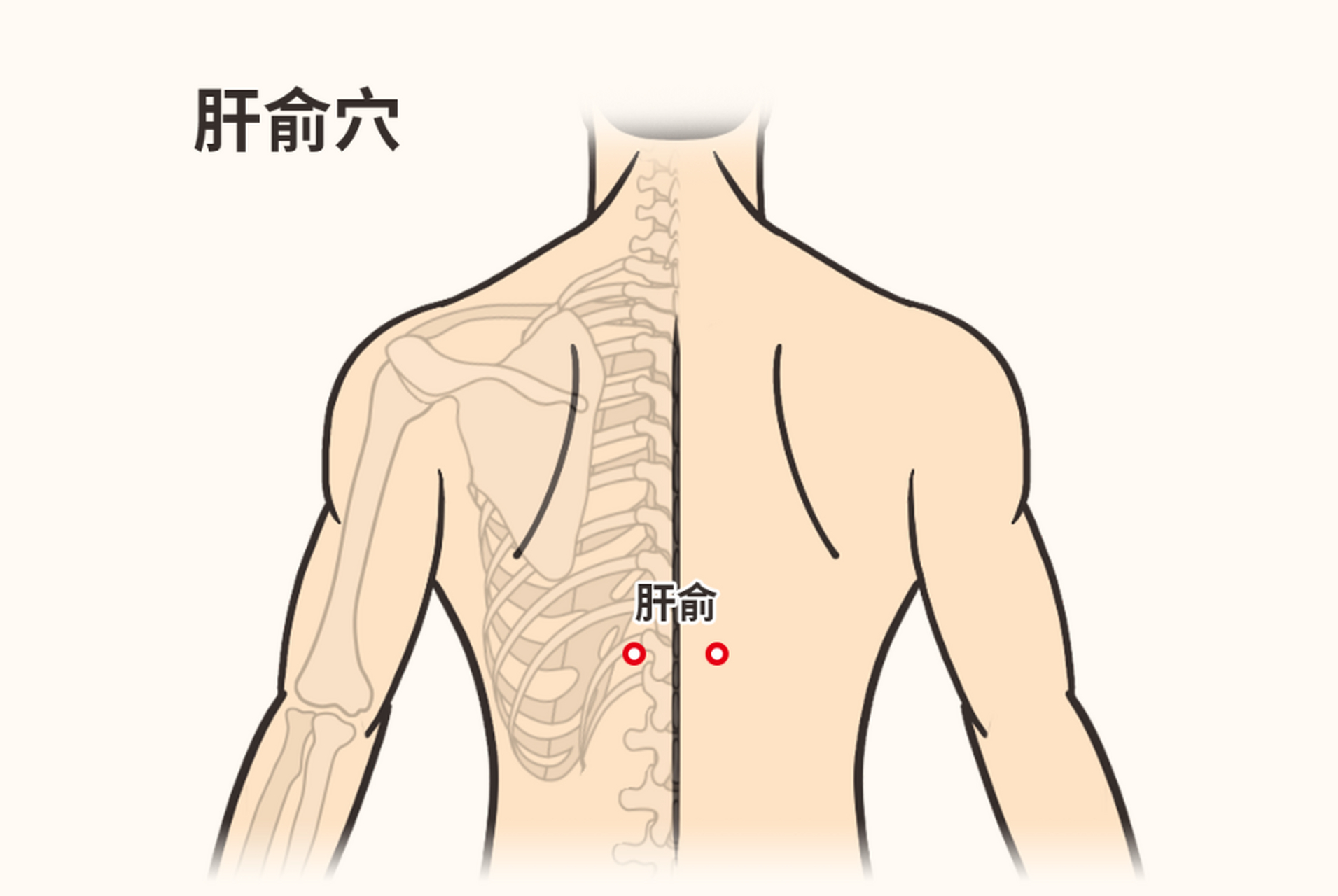 疏肝理气按摩哪里配图图片