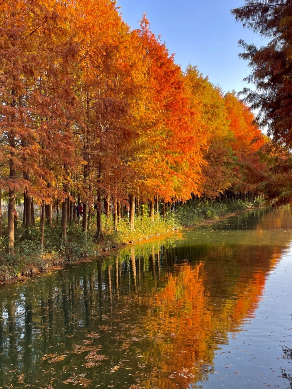 苏州虎丘湿地公园图片