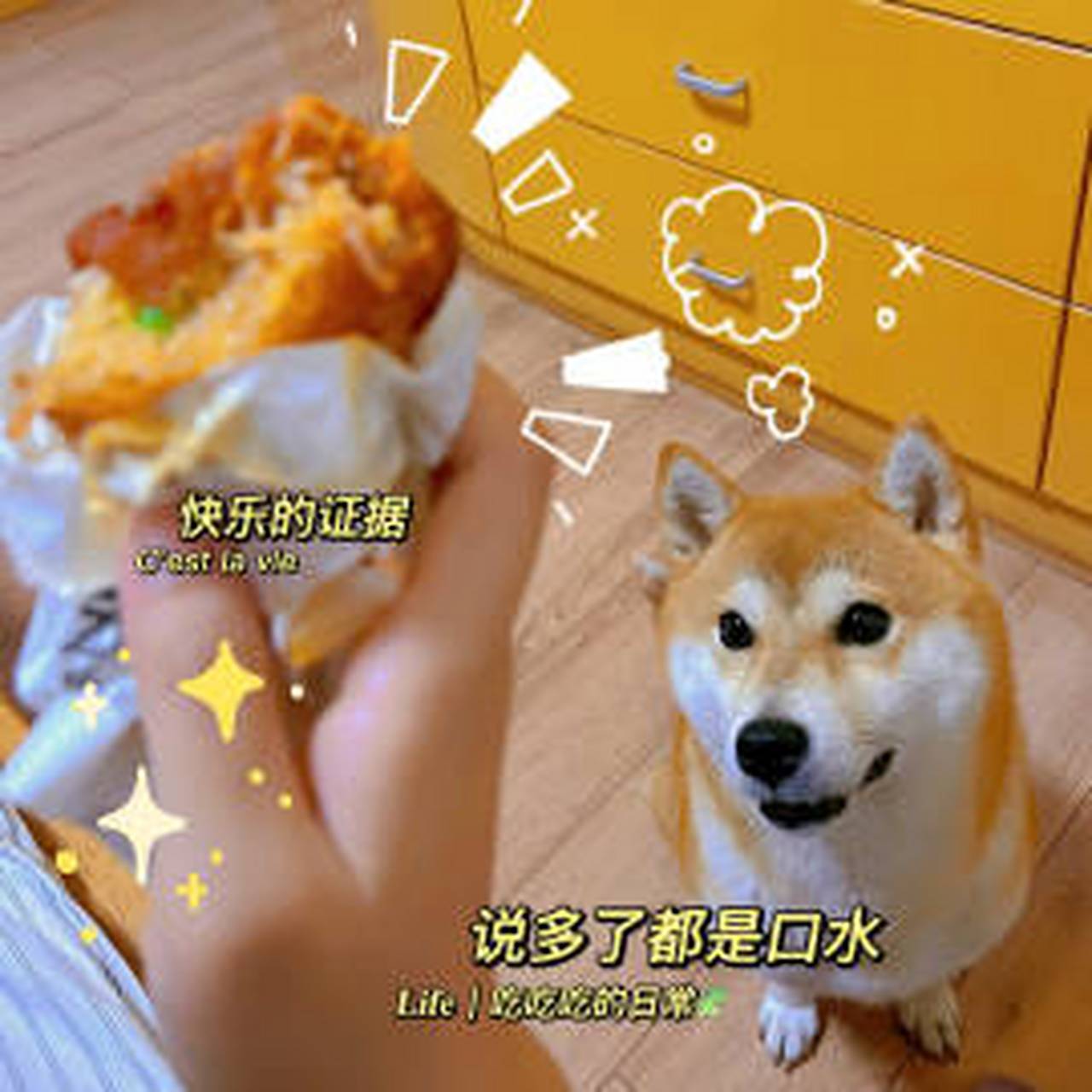 小狗狗渴望的眼神,太香啦