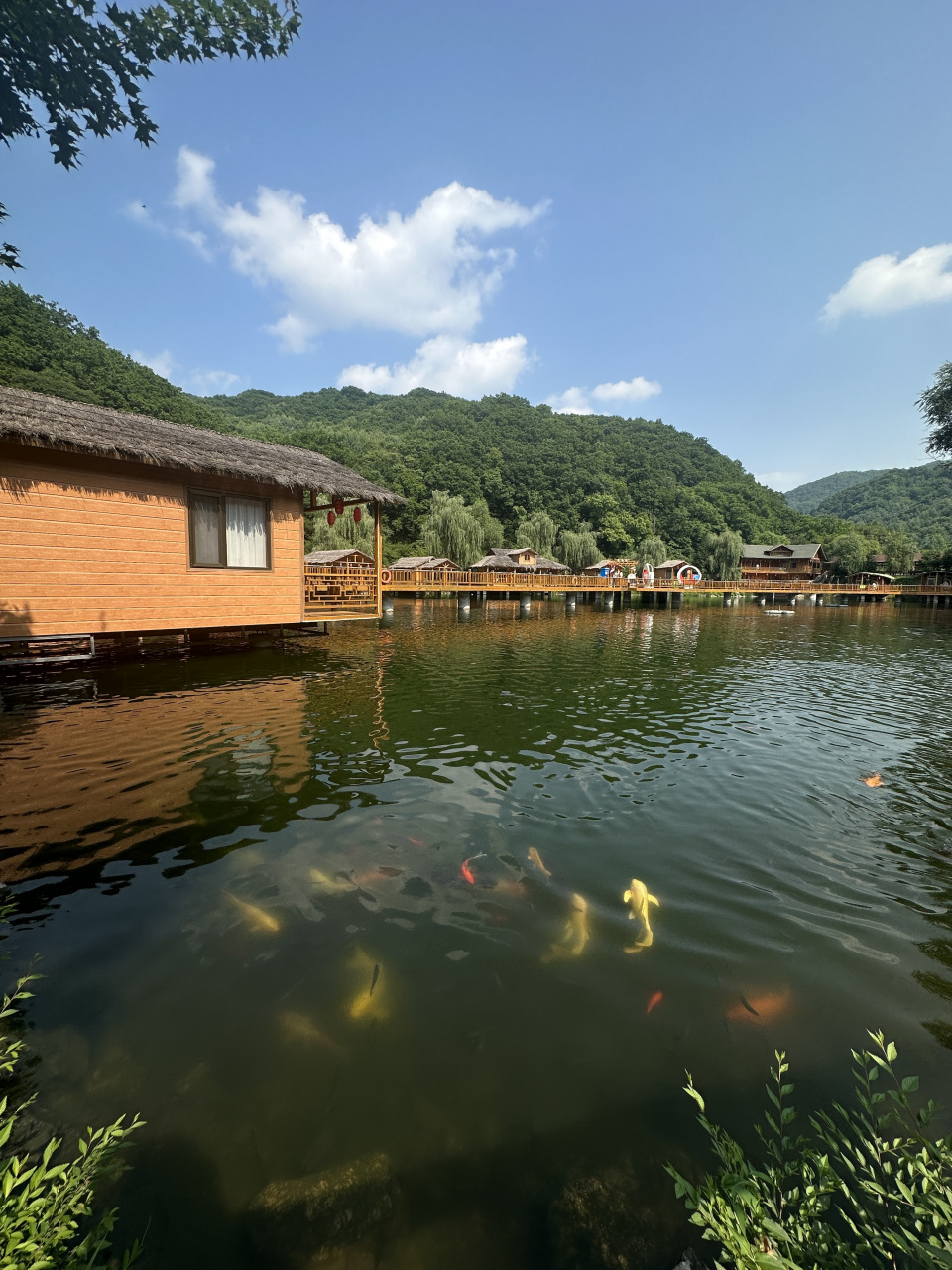 网红打卡地辽宁杠杠滴# 【参仙谷美景】 #美好辽宁欢迎您# #振行侣