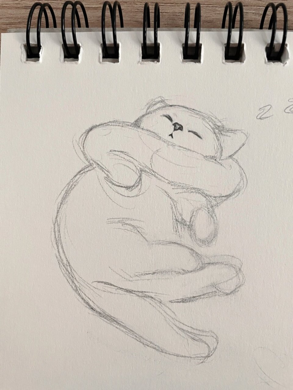 到底是谁在偷偷地描绘这只可爱的小猫咪睡觉的模样呢?