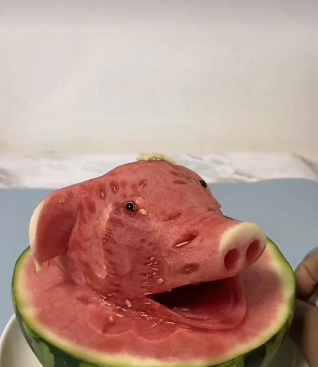 吃西瓜吃出来个猪八戒,是猪二哥又投胎了吗