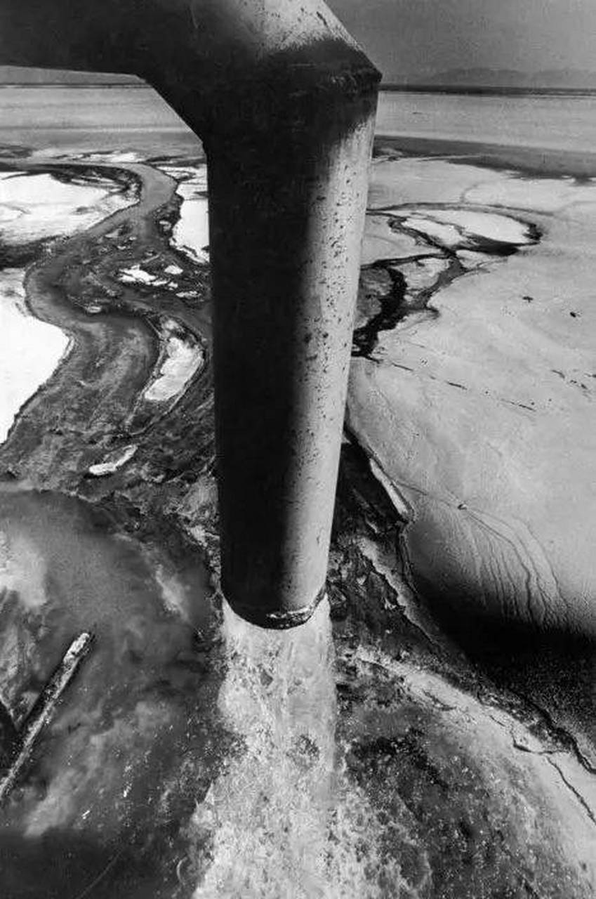 湾,未经处理的化工废水直接流入大海,导致当地许多居民罹患"水俣病"