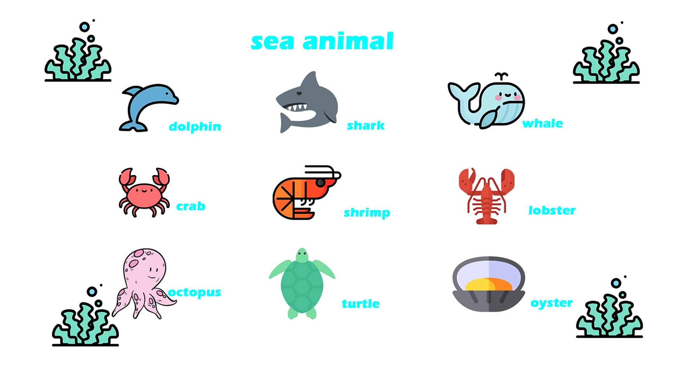 和海洋生物有关的英语单词: dolphin海豚,shark鲨鱼,whale鲸鱼, crab