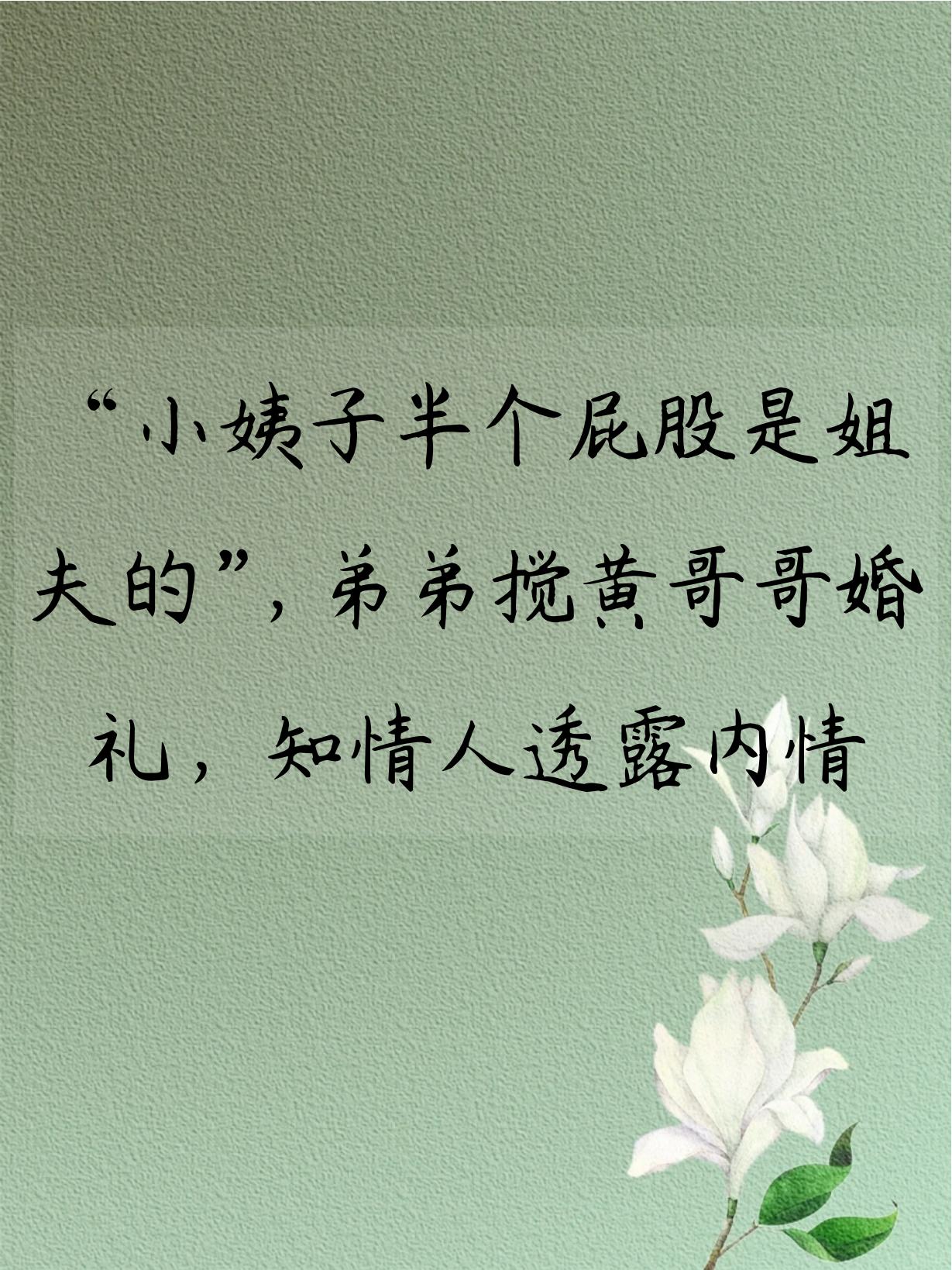 姐夫嗯弟弟无删减