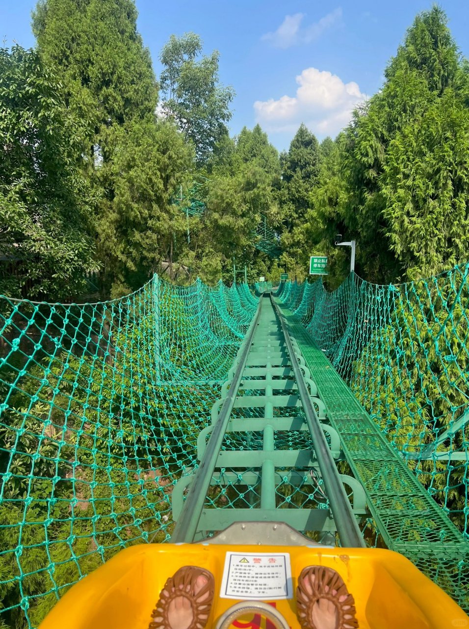 刺激的森林公园 "丛林过山车"和"滑滑梯";丛林过山车是从山顶滑到半山