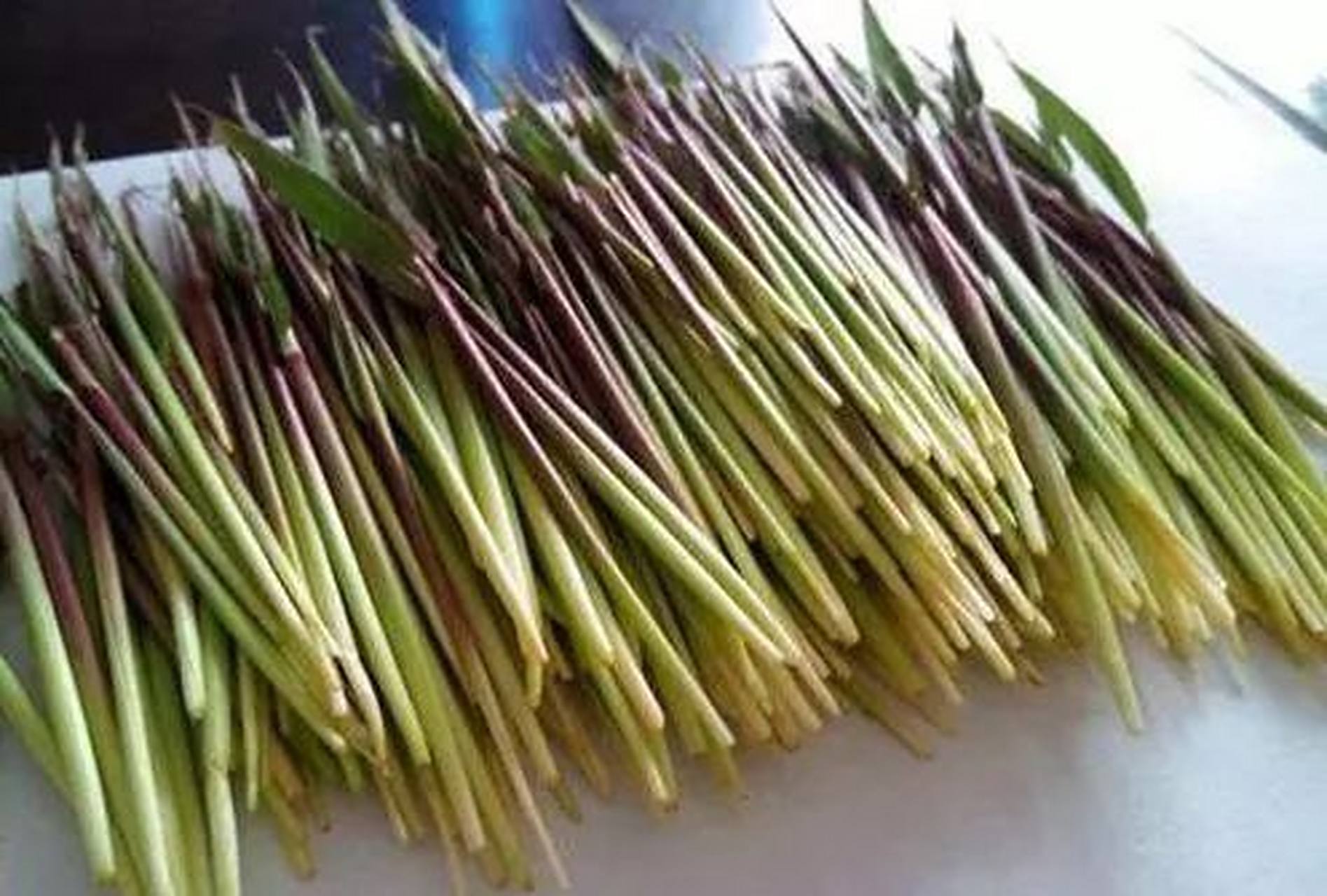 茅根,这个也是小时候的甜食之一,不过这个可以正大光明的吃,在田间地