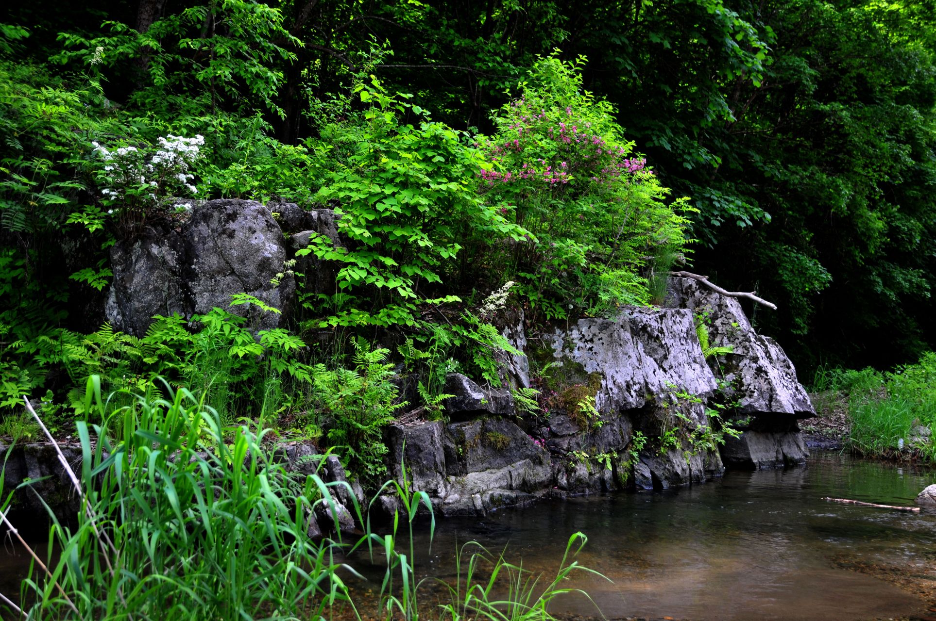 网红打卡地辽宁杠杠滴# 【抚顺美景推荐——清原筐子沟景区】#美好