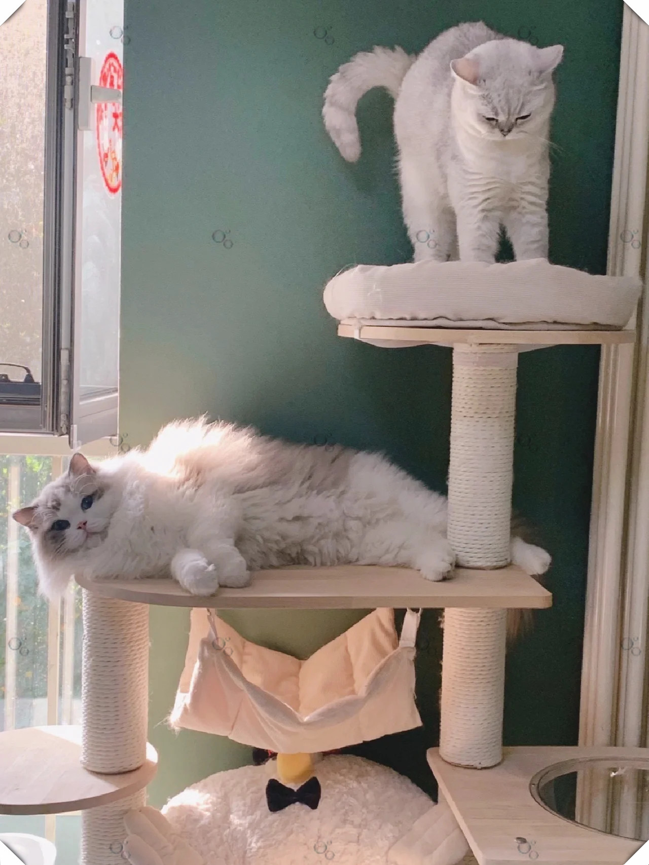 无奈之下,只好选择继续在温暖的被窝里打个盹儿.