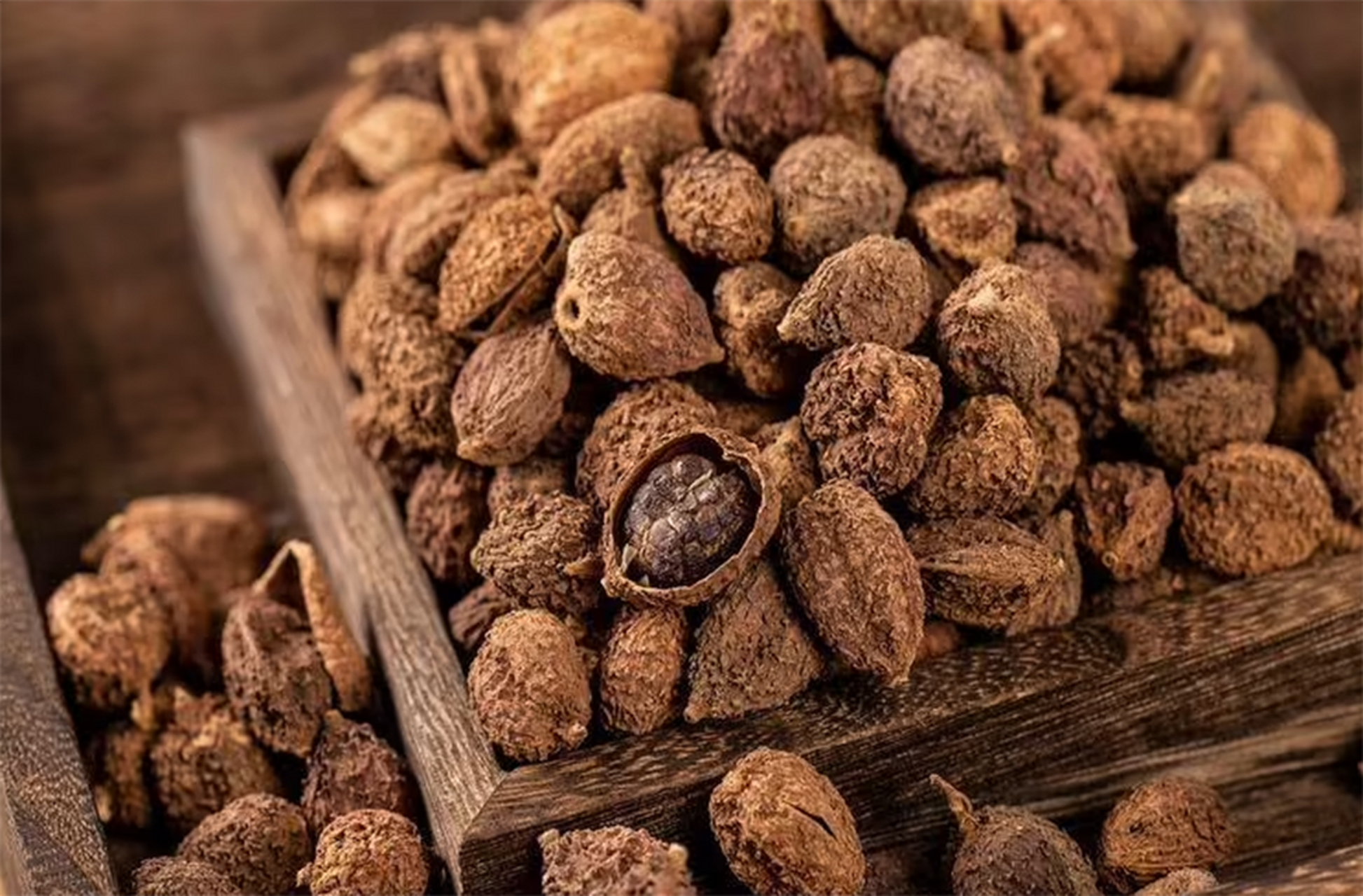 砂仁是我在香料批发中的必备品种之一,它的功效真的是太多了!