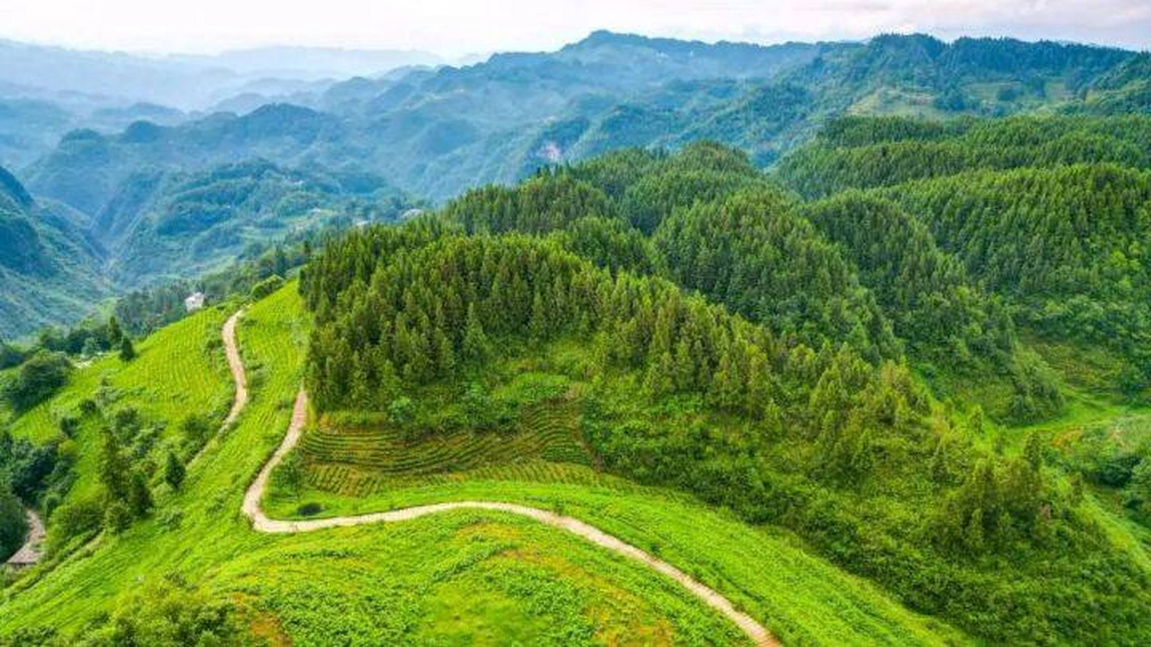 沿河中寨镇青山画卷美】初秋,贵州省铜仁市沿河土家族自治县中寨镇