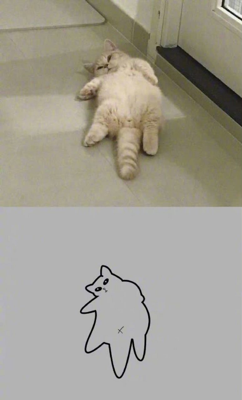 简笔画的沙雕动物可以说是非常生动了.