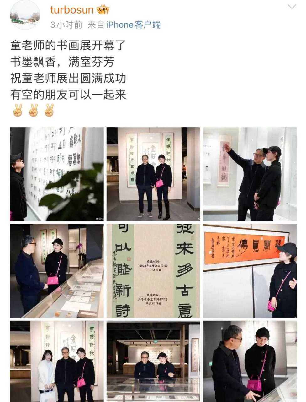 孙俪观看童老师的画展,孙俪口中的"童老师"是西泠印社副社长兼鉴定与