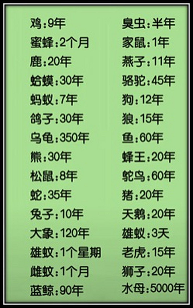 动物寿命知多少?收藏下来给孩子看.