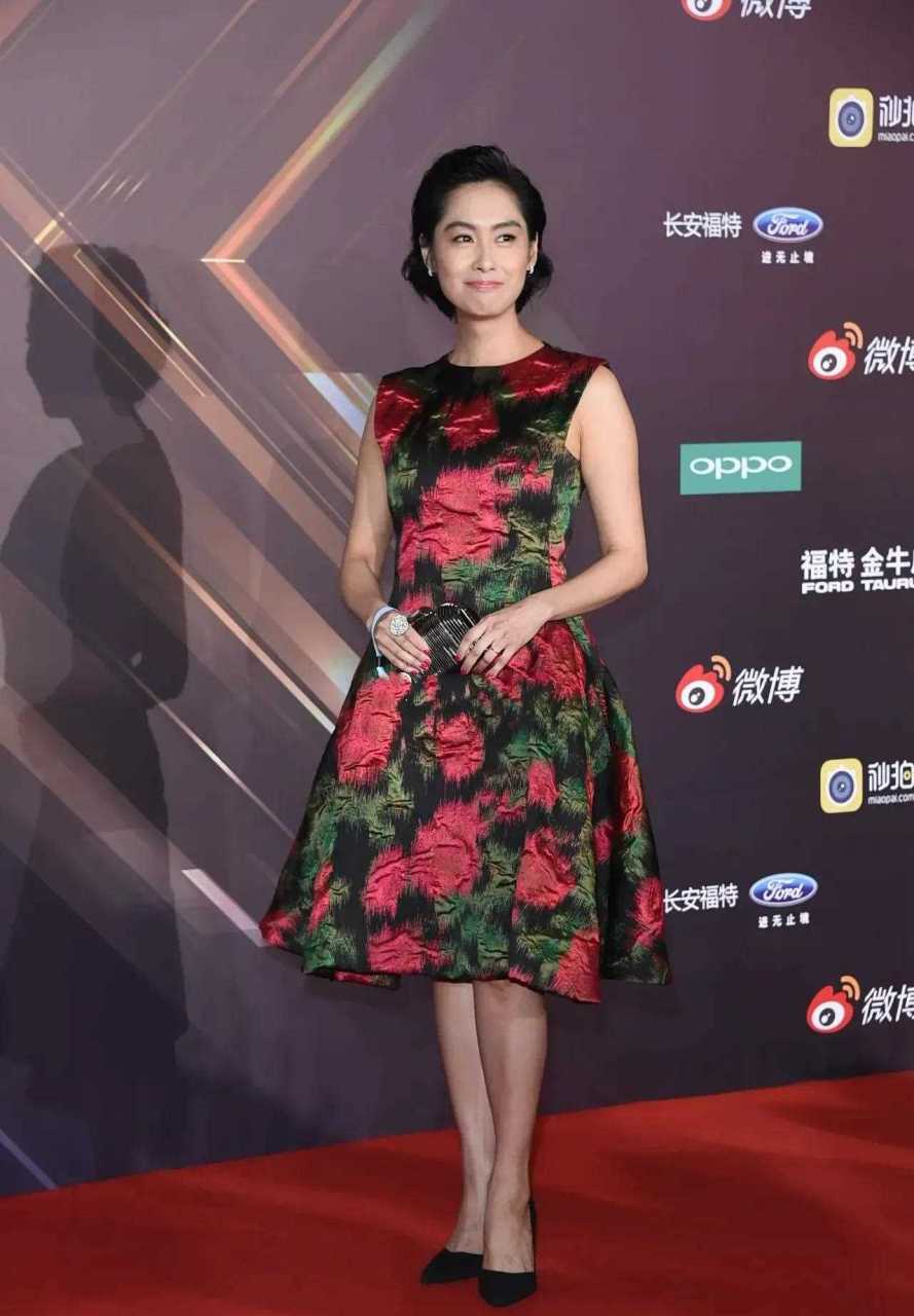 人到中年高清生图都没什么皱纹 [打call] 童年女神朱茵早年走红毯时