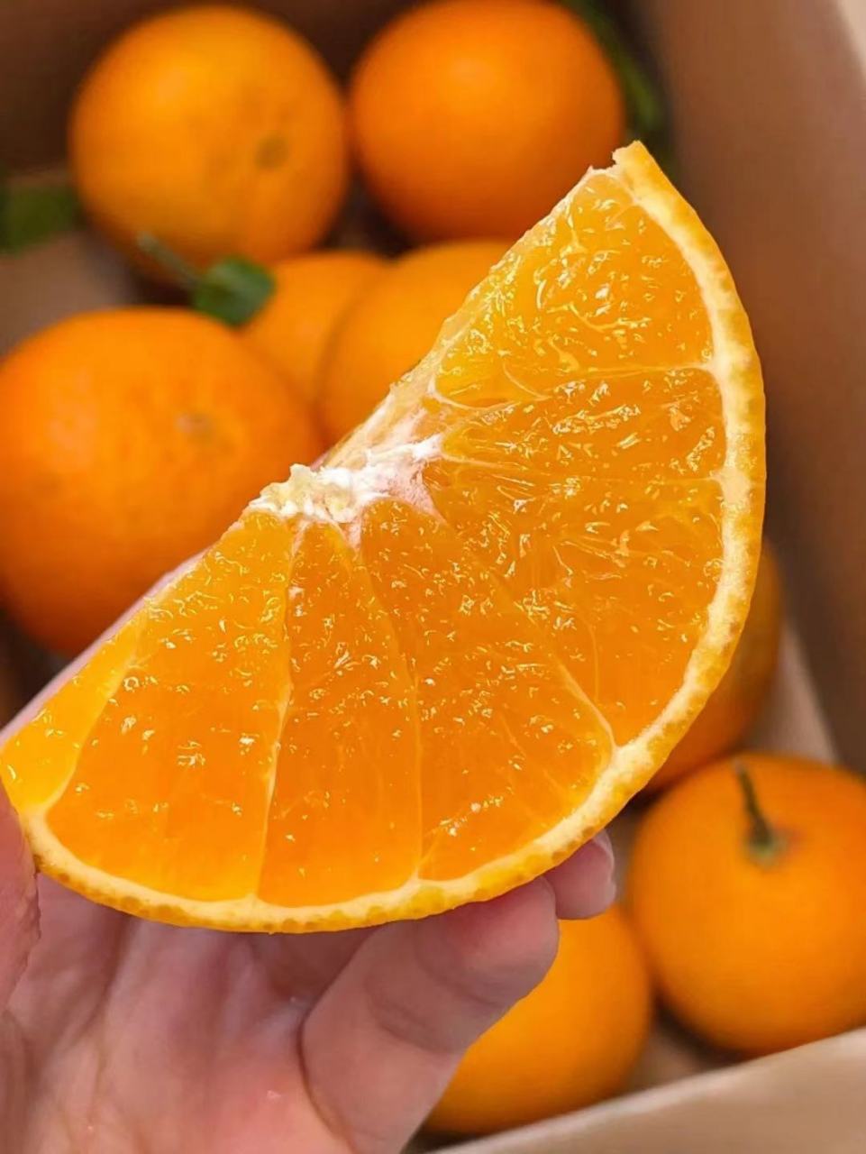 作为一名柑橘爱好者,我曾经尝试过无数的柑橘产品,但是当我品尝到爱媛