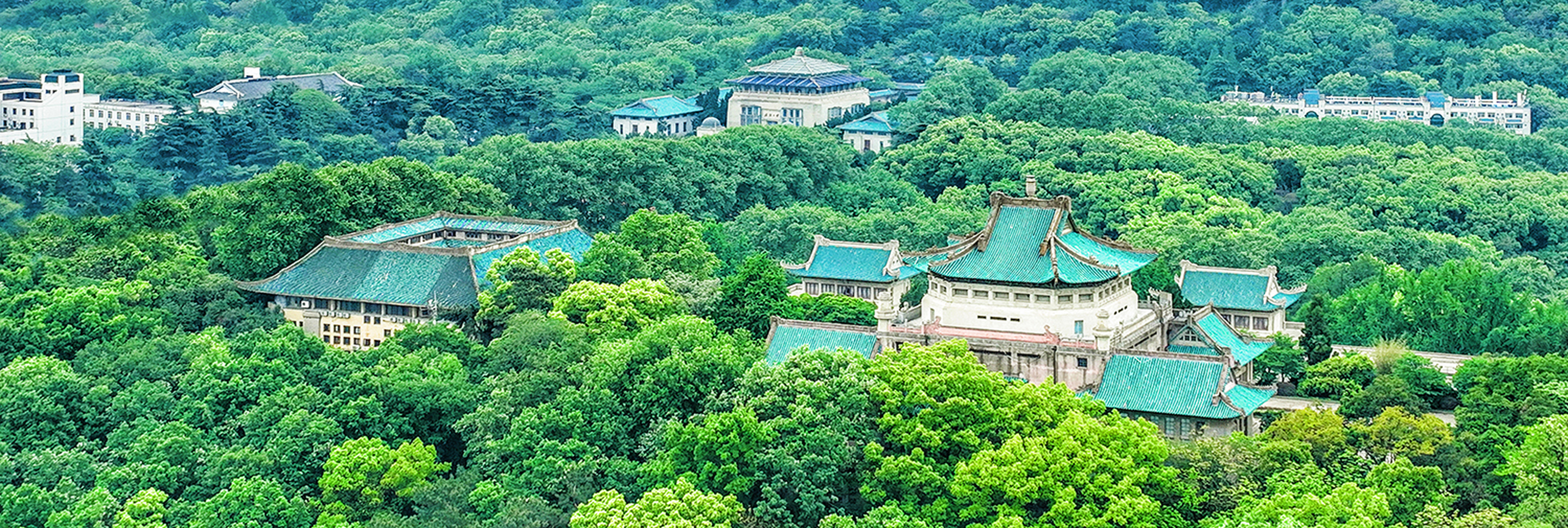 武大与樱花94  1938年,日军将珞珈山校园辟为其中原司令部后,为了