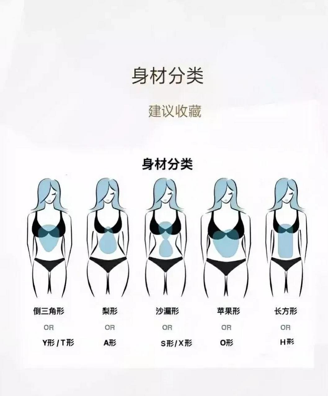 这是女性常见的各种身材分型,我怎么感觉梨形和漏斗型没有多大区别