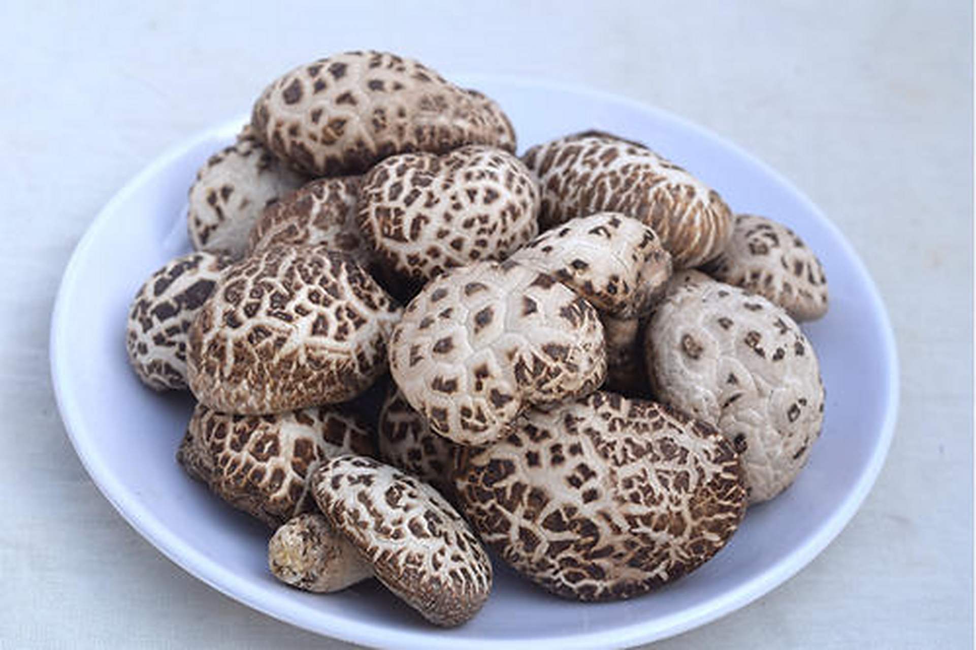 神农架野生花菇,花菇素有"山珍"之称,它朵大,菇厚,含水量低,其外形