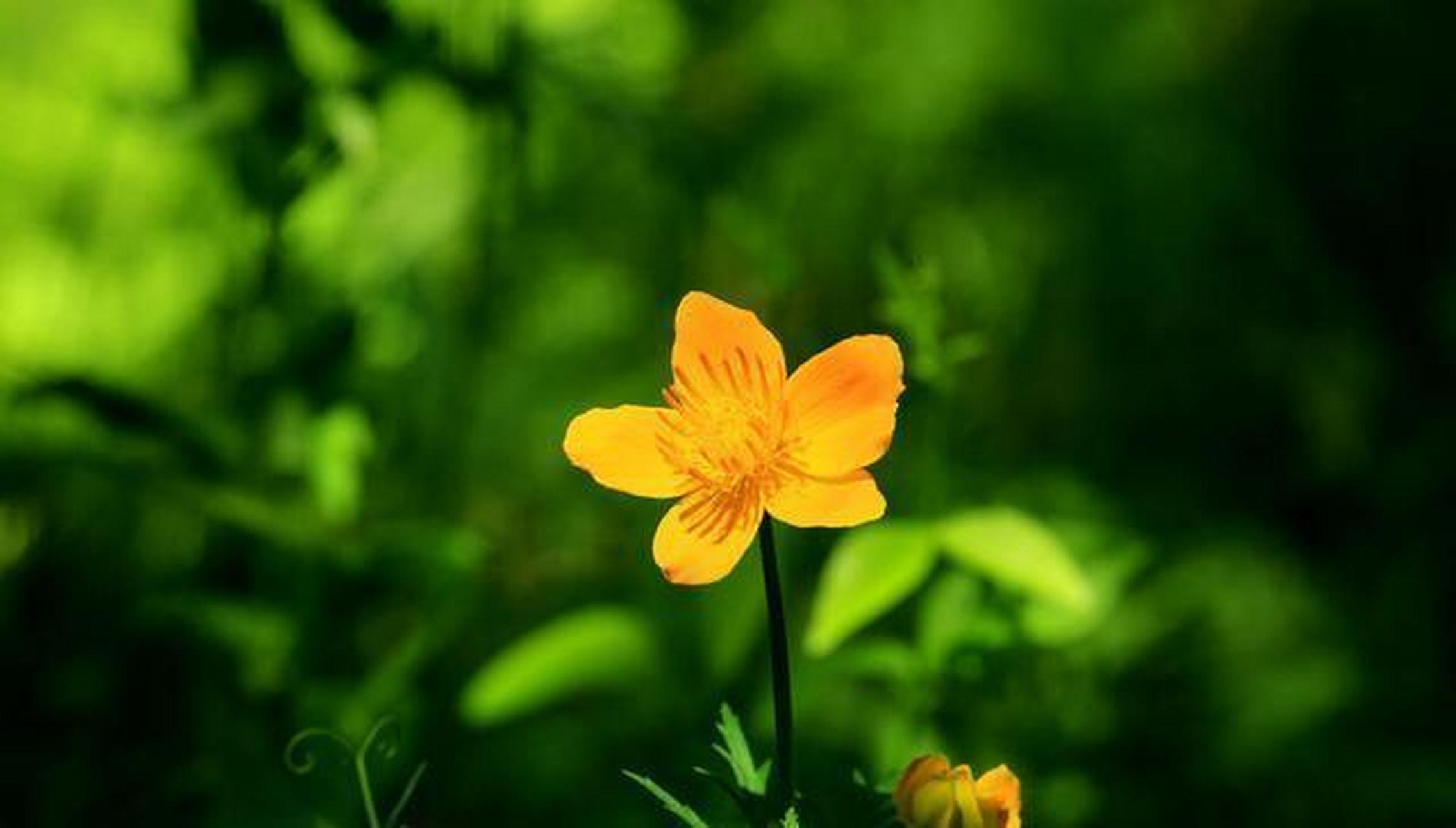 控制饮食就能长寿,且思维清晰