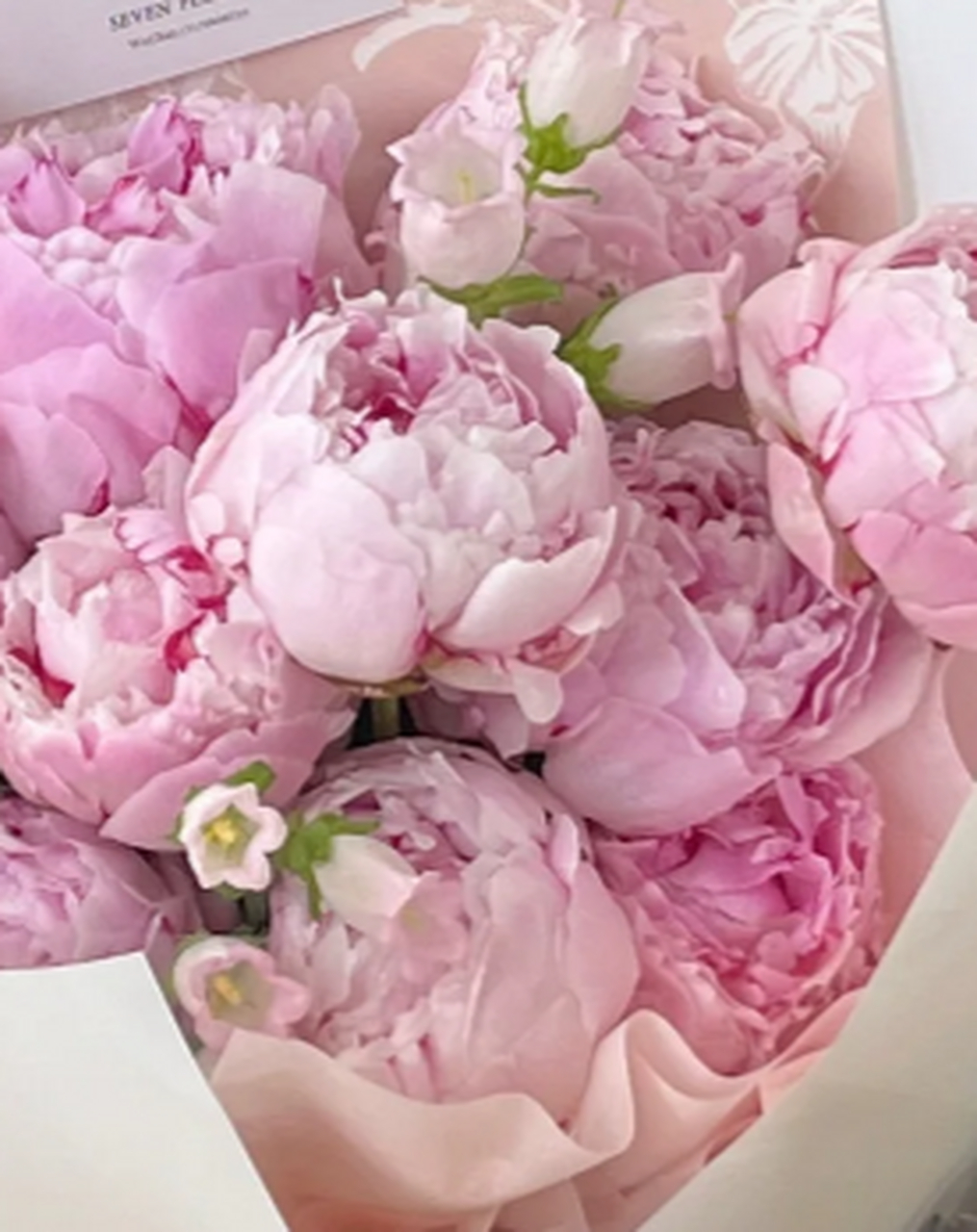 清新白粉色芍药花束:甜美又温柔 这款清新白粉色的芍药花束,如同暖阳