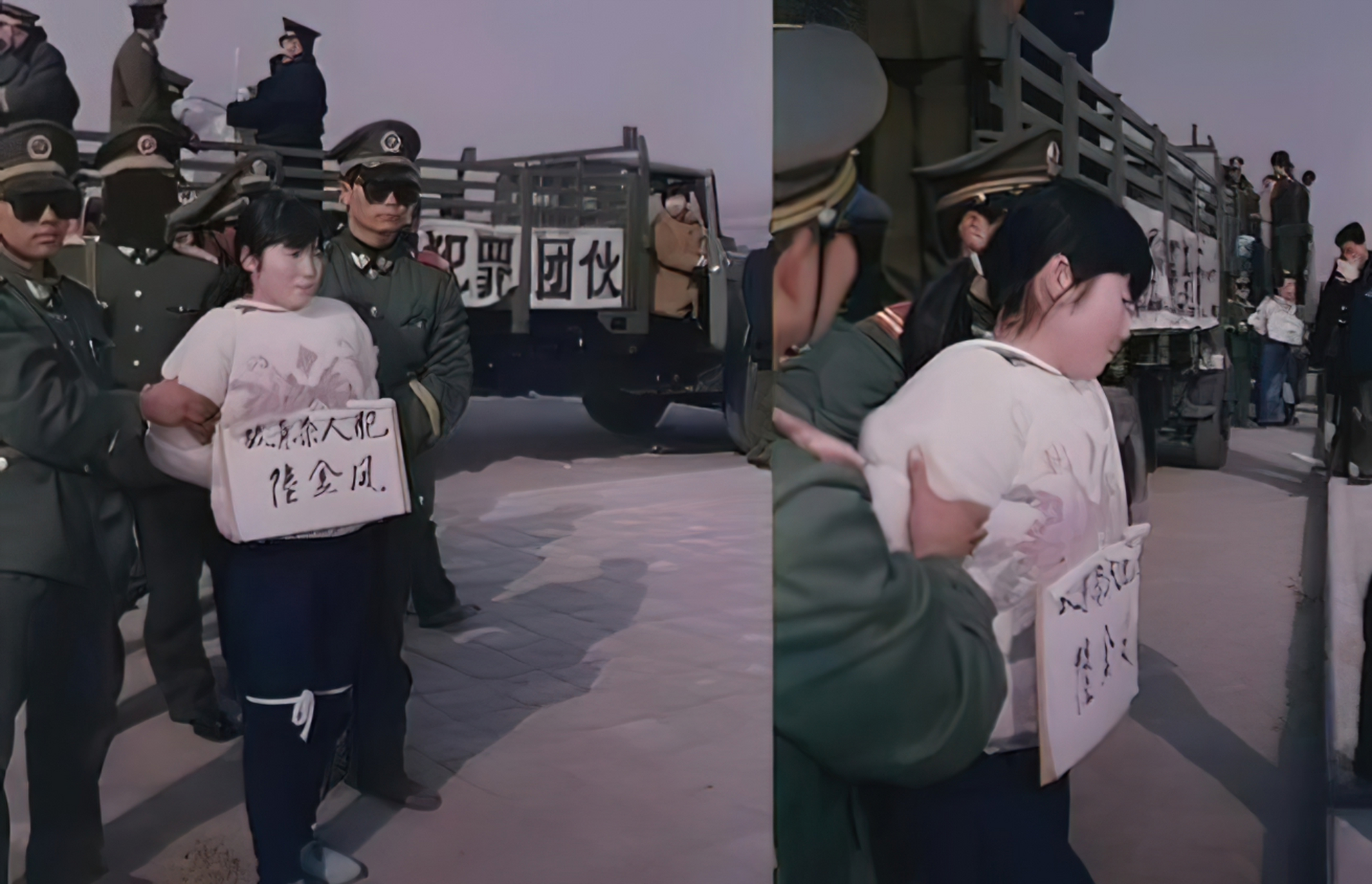 1995年,20岁的陆金凤被枪决.