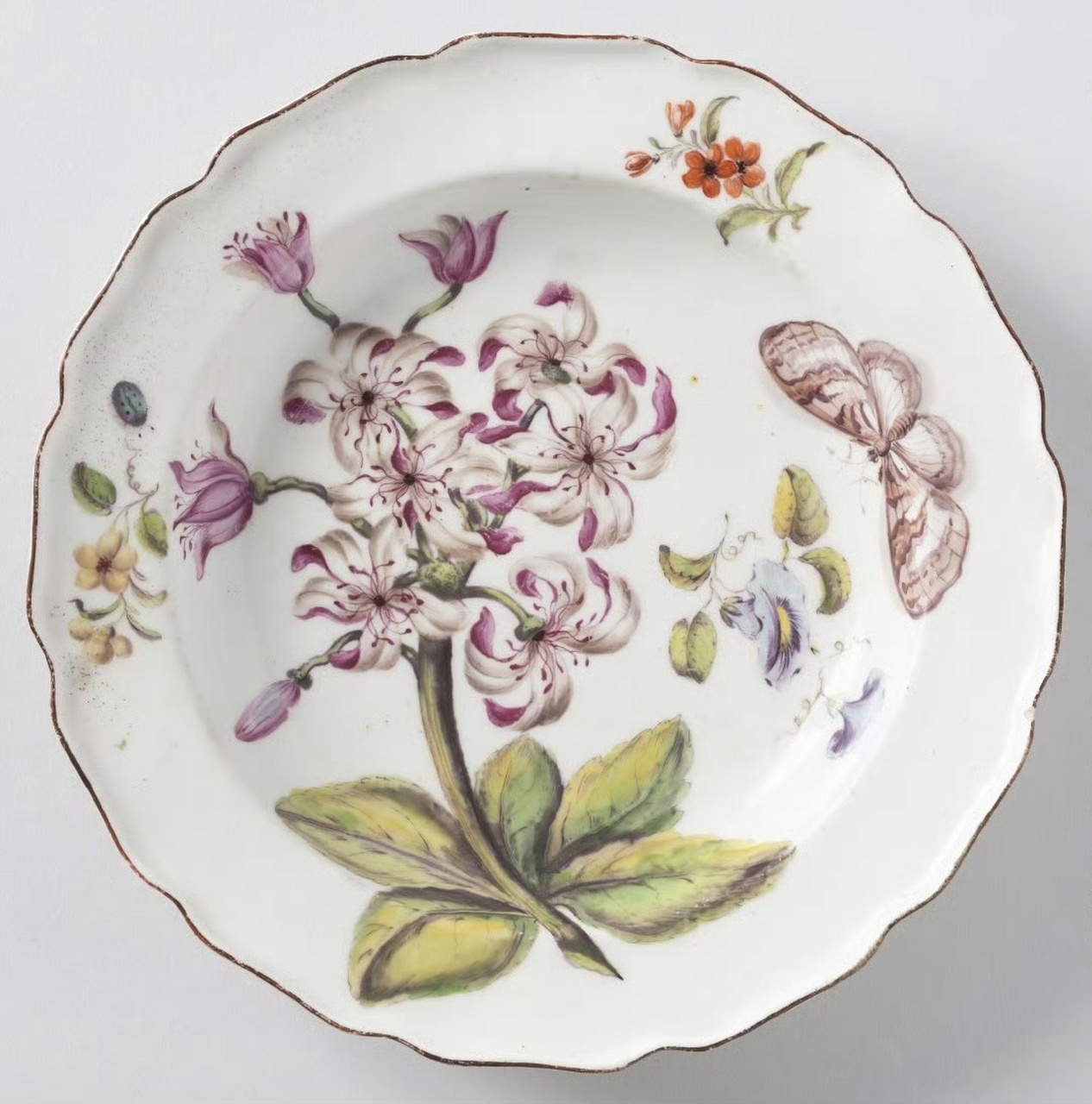 英国切尔西瓷窑出品的釉上彩软瓷装饰碟,以18世纪最为流行的植物图谱
