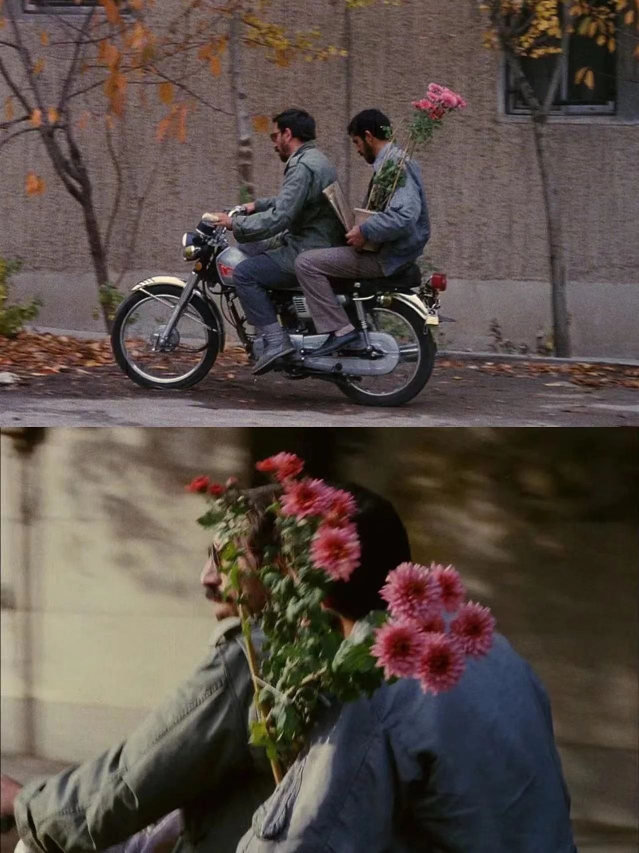 电影的背景故事发生在1989年一名叫萨巴奇安的伊朗穷人因为对电鞍